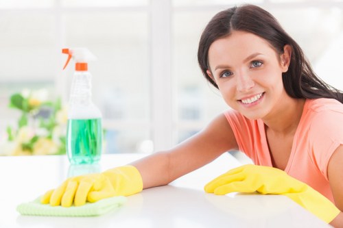 Living room sofa cleaning with vacuum and upholstery care