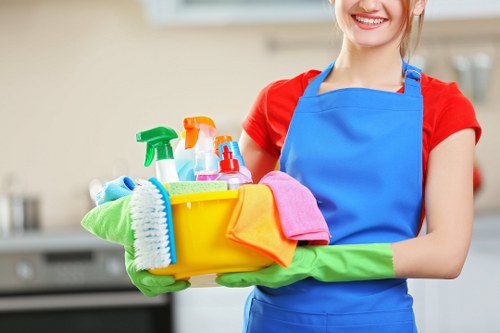 A professional deep cleaning process in a modern home