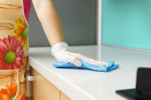 Professional house cleaning tools on a tidy surface