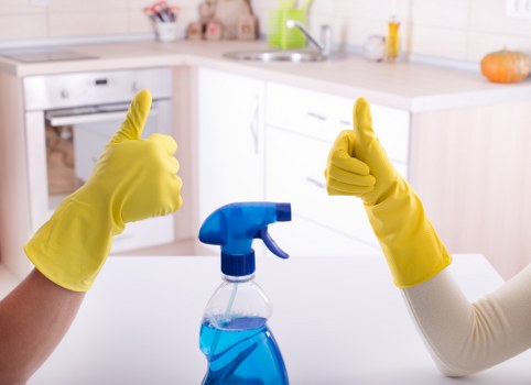 Professional one off cleaning in a living room