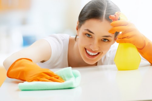 Professional cleaning in a bright residential room