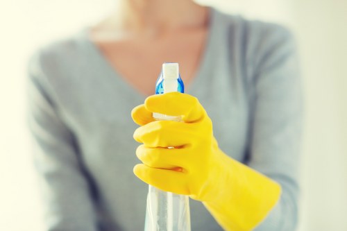 Domestic cleaning essentials in a tidy home interior