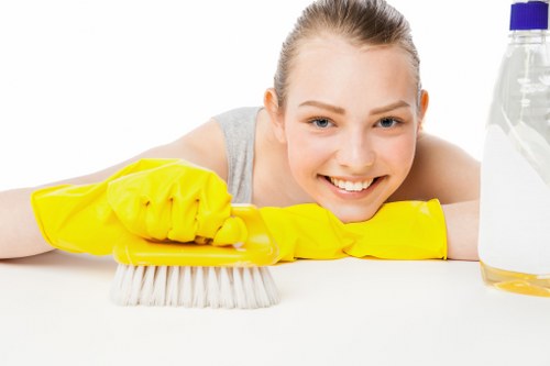 Bathroom deep cleaning showing detailed scrubbing and sanitizing