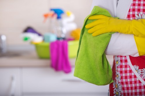 Seasonal window cleaning tools and streak-free glass