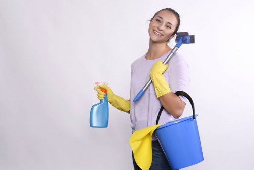 Seasonal house cleaning checklist and organized cleaning tools